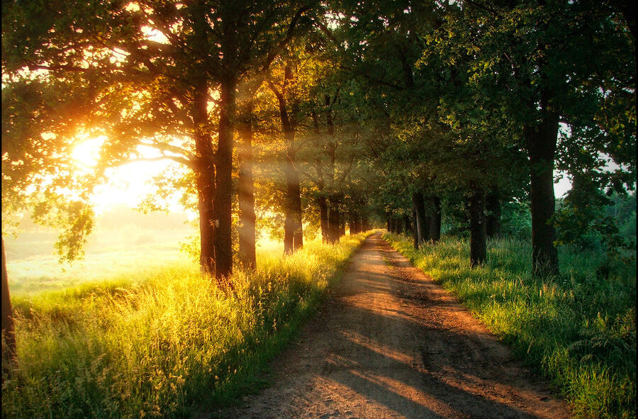 beautiful-day